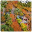 지에스25반포서래마을점 | ●서초 반포 자이아파트 35B평 경매●서초구 반포동, 초품아, 중품아, 초 더블역세권 【2025타경102206】