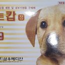 원주동물약국 네이버블로그
