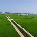 2019 오륙도평화축제 | “마음의 평안을 찾아 걷는 13.3km의 당티아고” 당진 버그내순례길