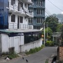 캔디식당 | 스리랑카 여행 캔디에서 시기라야 가는 법 (직행버스 후기)