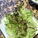 맛집 돈까스 서울 맛집 대학로 혼가츠