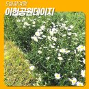 서구청소년수련관 주차장 이미지