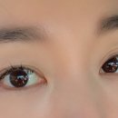 민스파라다이스