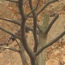 비전환경 이미지