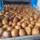 진들농장 이미지