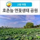 호촌늪 이미지
