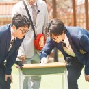 미트랜드