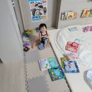 광주 키드키드 어린이 서점 그레이트북스 체험팩 수령 후기(전집 구매 x, 체험팩만 수령)_베베 코알라...