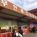 초당콘도르비행교육원 | 한국항공전문학교 항공조종학과 비행체험!!!