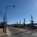 시가지도 이미지