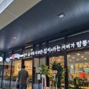과천 맛집 이비가 짬뽕 펜타원점 생활의달인 식당 후기