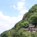 경상북도 예천군 선몽대,감천면석송령 방문 후기