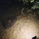 대구경진초등학교 | 걷기&amp;감사 51~53일차 /16247 걸음