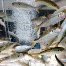 숙지당구장 이미지