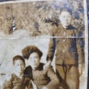 운남초교 이미지