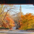 신원사 버스정류장 이미지