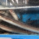 착한숯불장어 이미지