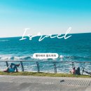 요나고래 | 텔아비브 여행 지중해 연안의 중동 도시 이스라엘 올드자파