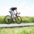 서초고용센터 앞 이미지