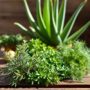 고대약국 이미지