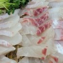 해도수산포차 네이버블로그
