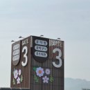 시장화원 네이버블로그