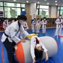 금호태권도장 이미지