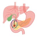 &#34;얼굴이 점점 노래져요&#34;…의사 찾아갔더니 &#39;청천벽력&#39; 이미지