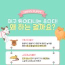 우다다 유치원 이미지