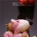 포로리