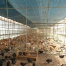 통일농장 이미지