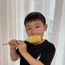 초롱꽃반 김민준 옥수수 맛있게 먹었어요 이미지