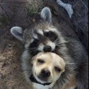 퍼니랜드 부평점 이미지