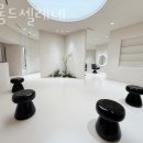 셀레네 이미지