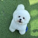 광안유치원 이미지