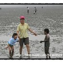 갯벌의 추억 이미지