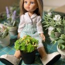 인형의집 이미지