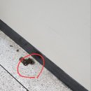 정우아파트 이미지