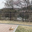 마장호수 휴 캠핑장 이미지