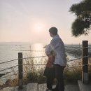 무학건설 | 서산 간월도 간월암 일몰 시간 물때 확인법 직접 다녀온 후기