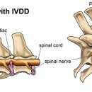 이로동물의료센터 이미지