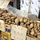 홈스치킨 | [13년지기의 제주여행 Day 1~2] 말레이시아 홈스테이즈의 제주 먹고 뛰고 수다 여행