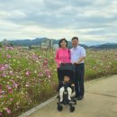 청미천 축구장 이미지