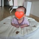 (경기) 아가별산후도우미 | 강남/서초/송파 산후도우미 업체 추천 아가별 산후도우미 산후관리사 추천 후기