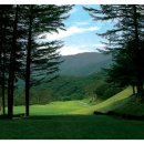 크리스탈밸리C.C 이미지