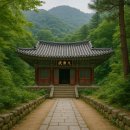 불교 사찰과 조선시대 억불정책 – 배척 속에 지켜낸 수행의 역사