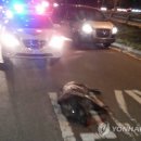 멧돼지집 이미지