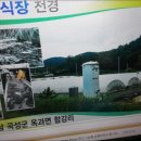 온양장어 이미지