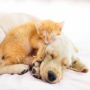 행복을 배우는 공간 이미지