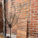 앙떼떼(entete) | 베이커리가 맛있는 포토스팟 가득한 고양 대형카페 | 앙떼떼페레 내돈내산 후기